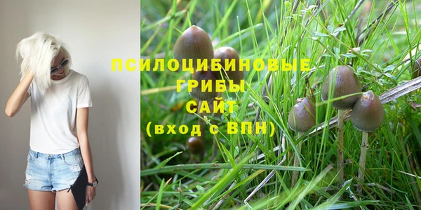 меф Горно-Алтайск
