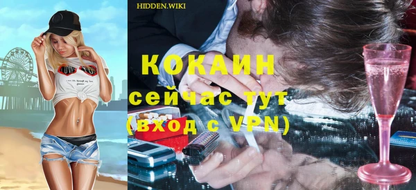 дмт Горнозаводск