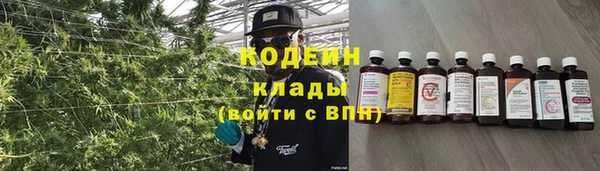 дмт Горнозаводск