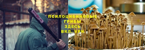 дмт Горнозаводск