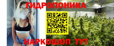 PSILOCYBIN Кинель