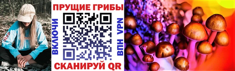 Галлюциногенные грибы MAGIC MUSHROOMS  что такое   Буйнакск 