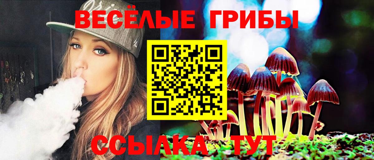 Псилоцибиновые грибы Psilocybine cubensis  Вход с VPN  Буйнакск 