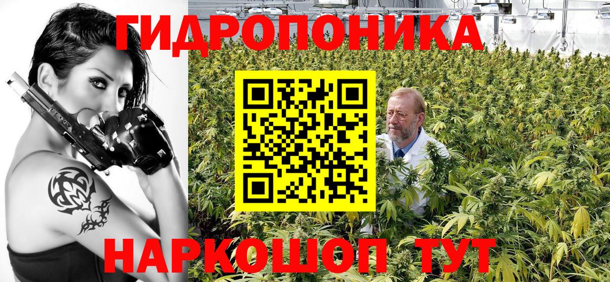 Конопля планчик Буйнакск